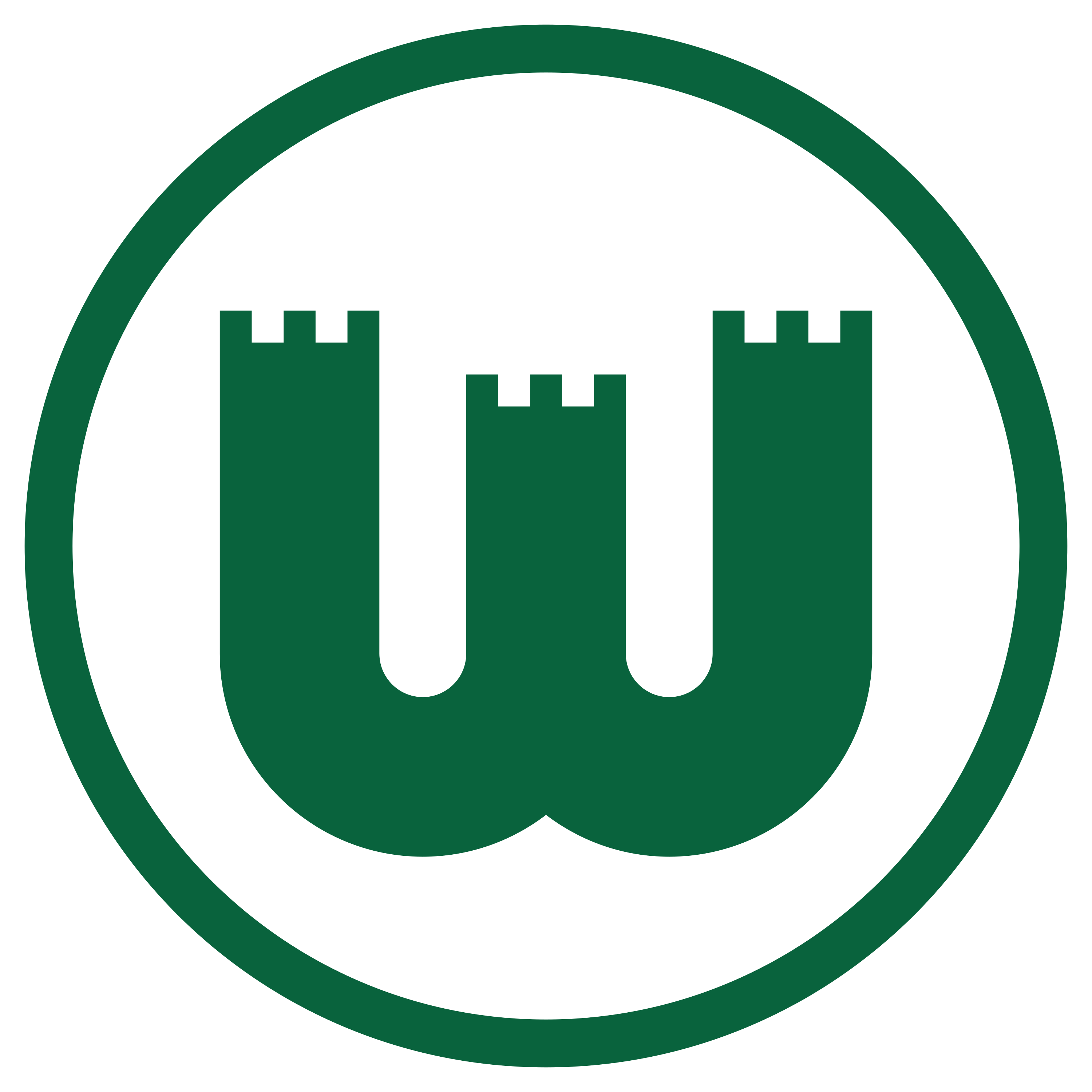 Logo VFL Wolfsburg - Grünes W auf weißem Hintergrund in einem runden grünen Rahmen